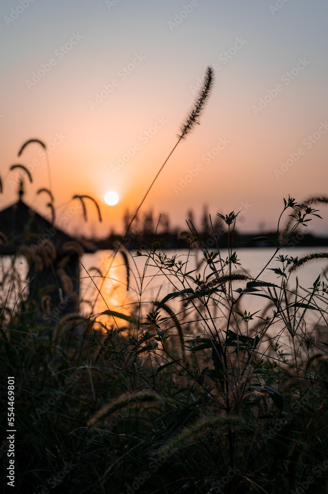 Fototapeta premium sunset over the river