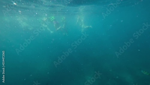 Wallpaper Mural Footage underwater of people snorkeling. Vacation and tourism concept. Tropical island fun Torontodigital.ca