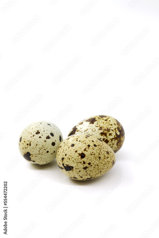 Quail eggs in a group Quail eggs in a group