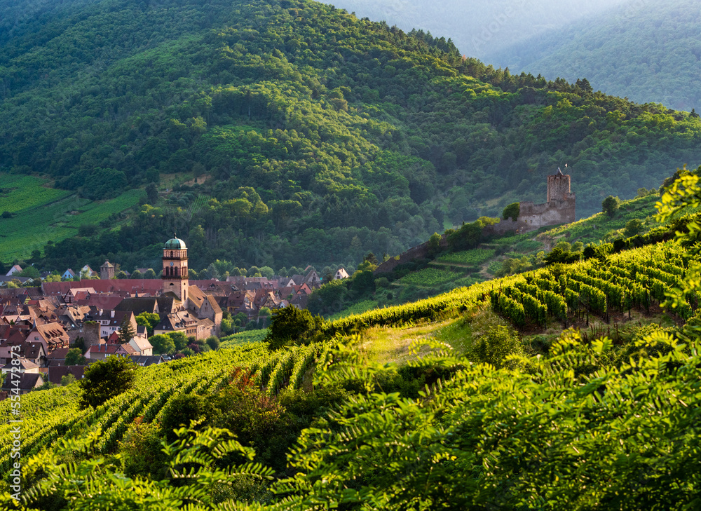 Le château du Schlossberg et l'église Sainte-Croix de Kaysersberg vignoble, Alsace, France