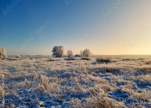 winter landscape with trees © tl6781