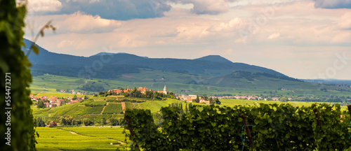 Zellenberg surplombant le vignoble alsacien sur le piémont vosgien, CEA, Alsace, Vosges alsacienne, Grand Est, France