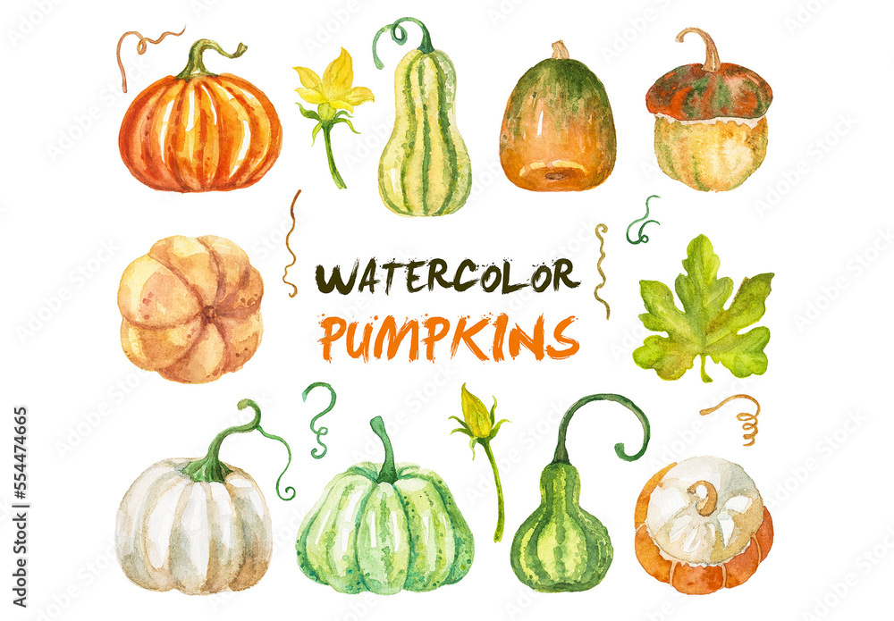 Abstract watercolor collection of autumn pumpkins. Hand drawn nature ...