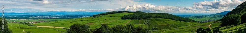 Le Mont de Sigolsheim, au cœur du vignoble alsacien, CEA, Grand Est, Alsace, France