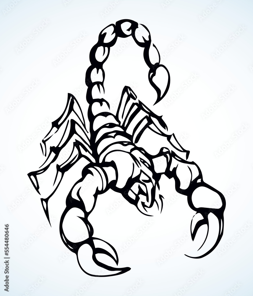 Dangerous insect. Scorpion. Vector drawing Dangerous insect. Scorpion. Vector drawing