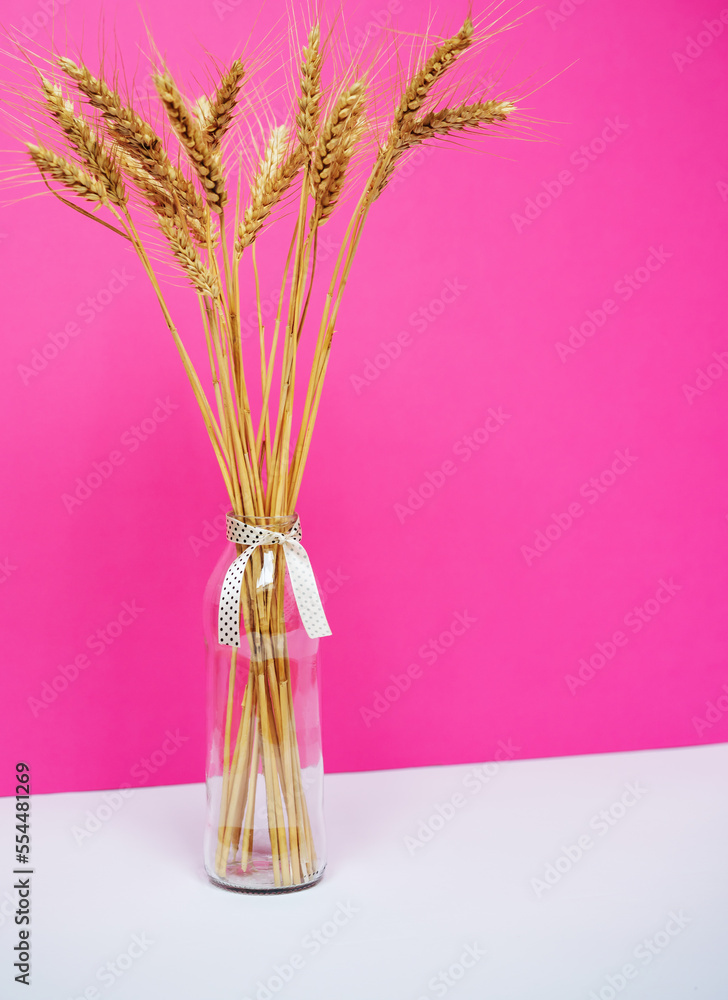 Still life bouquet of dried wheat stalks in glass vase made from bottle against pink background. Still life bouquet of dried wheat stalks in glass vase made from bottle against pink background.