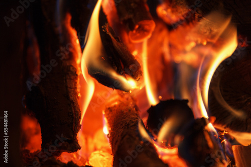 Firewood burns in fireplace