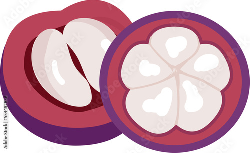 Mangosteen icon cartoon vector. Garcinia fruit. Summer food photo