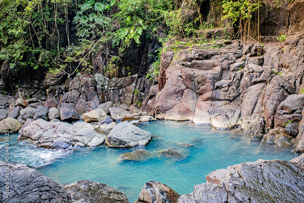 Naklejka premium Caribbean island wildlife and flora