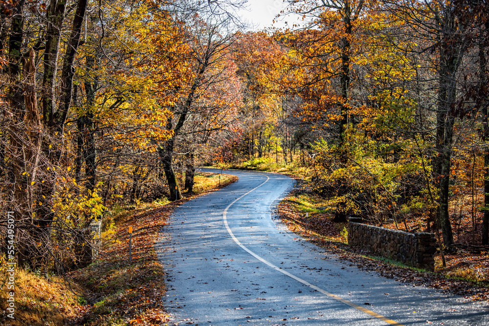 Fototapeta premium Colorful yellow orange foliage in autumn fall season on Fawn Ridge drive in Wintergreen Resort, Virginia with paved asphalt curvy winding road landscape