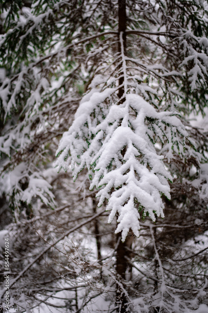 Winter in Estonia Winter in Estonia