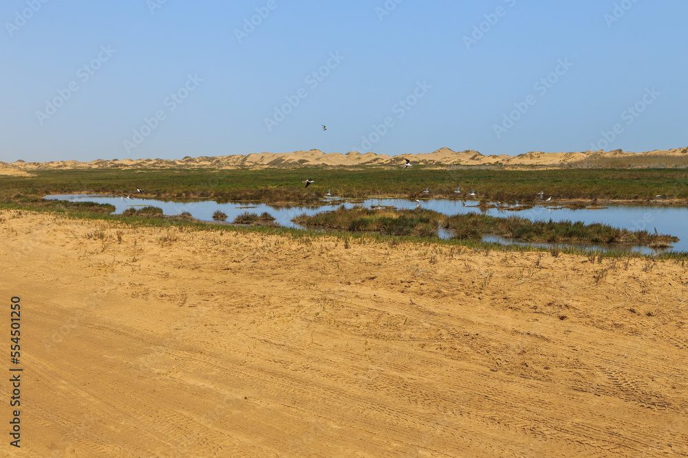 Desert off the coast of the Atlantic Ocean, Walvis Bay. Swakopmund, Namibia. Desert off the coast of the Atlantic Ocean, Walvis Bay. Swakopmund, Namibia.