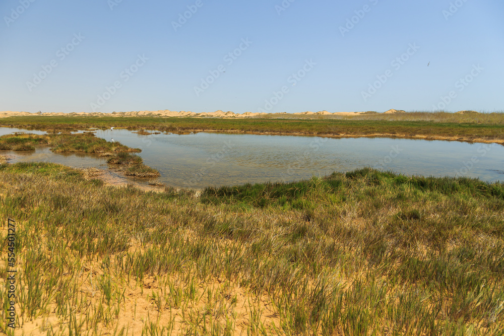 Desert off the coast of the Atlantic Ocean, Walvis Bay. Swakopmund, Namibia.