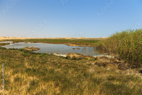 Desert off the coast of the Atlantic Ocean  Walvis Bay. Swakopmund  Namibia.