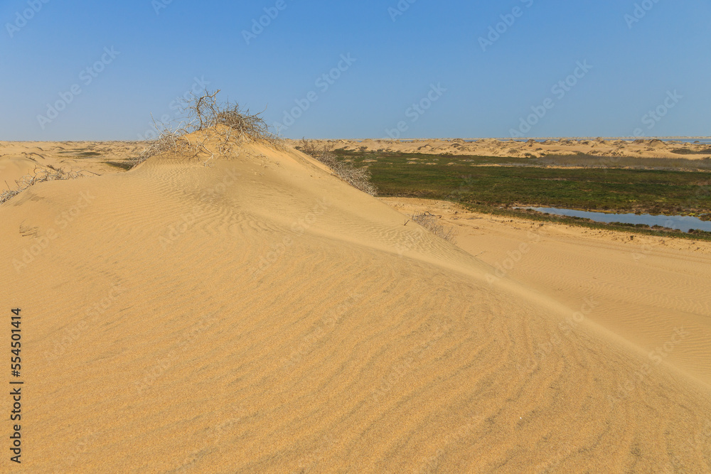 Naklejka premium Desert off the coast of the Atlantic Ocean, Walvis Bay. Swakopmund, Namibia.