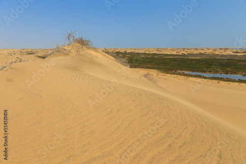 Desert off the coast of the Atlantic Ocean, Walvis Bay. Swakopmund, Namibia.
