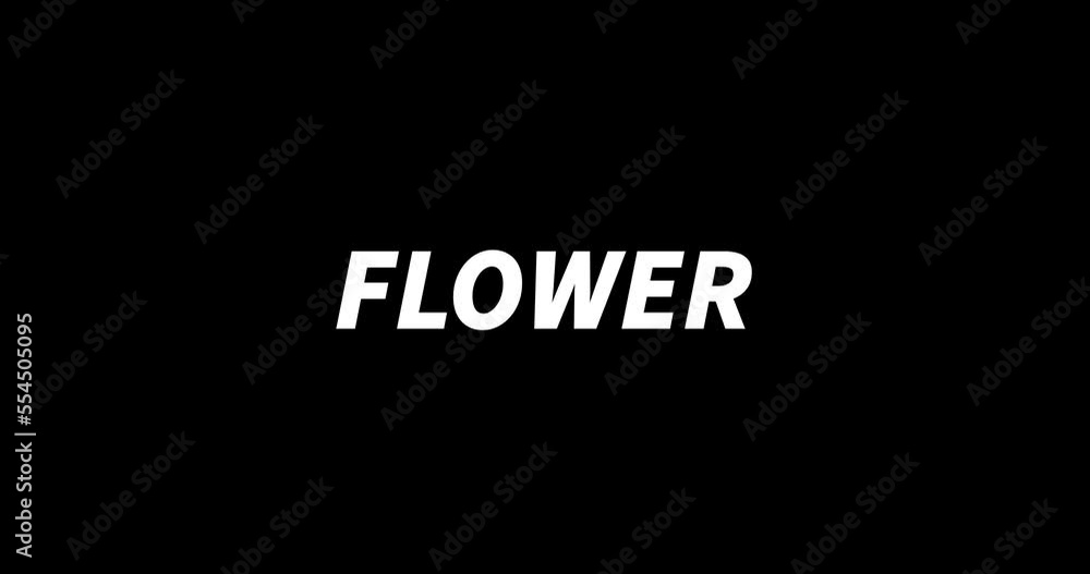FLOWER text animation on black background. Modern text animation, written FLOWER FLOWER text animation on black background. Modern text animation, written FLOWER