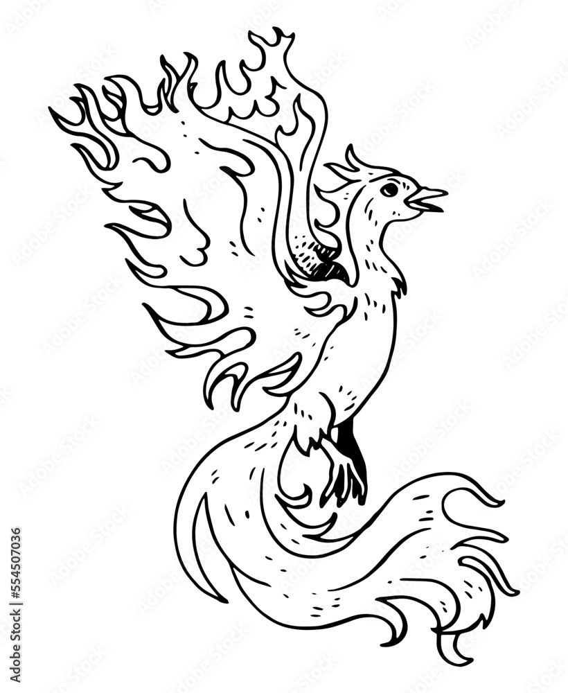 Naklejka premium Phoenix vector illustration
