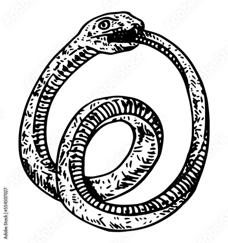 Ouroboros vector illustration