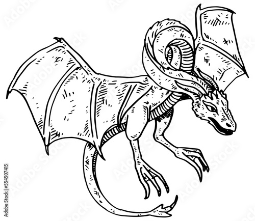 Wyvern vector illustration