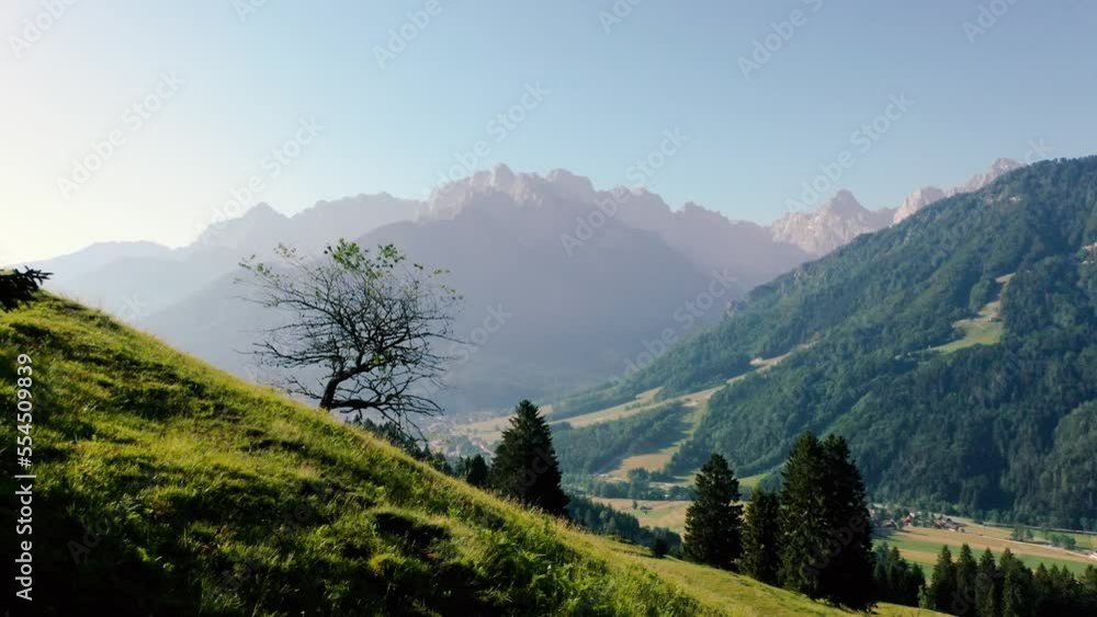 Incredibly beautiful view of the mountains with a lone tree at sunrise. Lonely tree with a view of the mountains shot from a drone in incredibly beautiful light