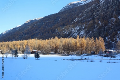 Beautiful view of swiss alps with pine tree and snow capped mountains in winter, Switzerland. View from the running train. Blurred focus. Nature background concept.