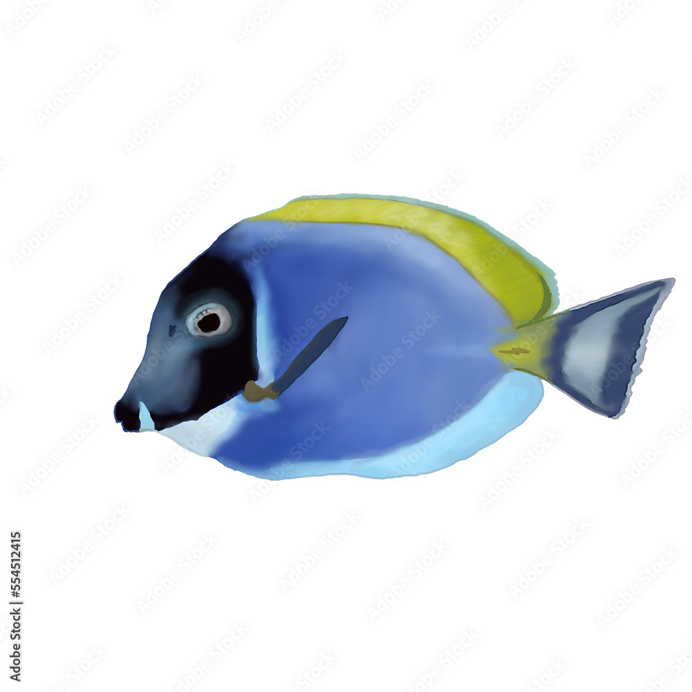 Isolated Blue Marine Fish Isolated Blue Marine Fish