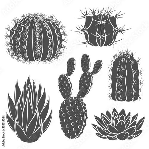 Set of black and white illustrations with cactus and succulent. Isolated vector objects on a white background.