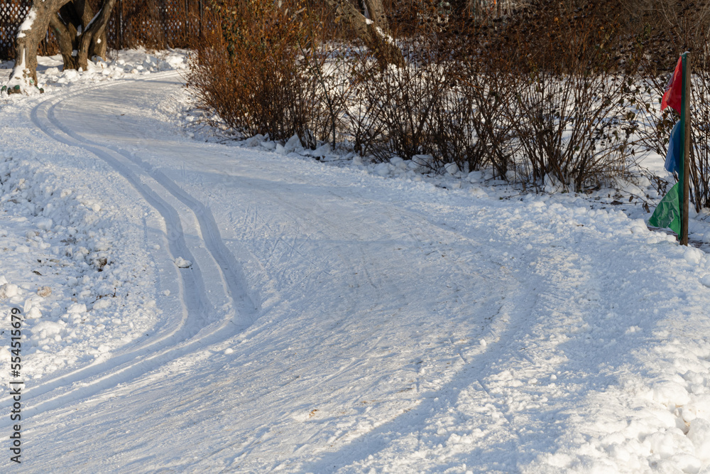 Obraz premium empty ski run in the forest in winter