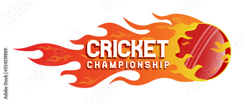 A flaming Cricket Championship Logo, Mnemonic, Symbol, web header, Icon, Banner or Poster Design - Vector, Illustration