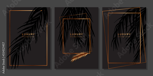 Set of luxury gold templates with tropical plants and frames. Golden palm leaves, branches, geometric elements. Poster with exotic leaf on black background