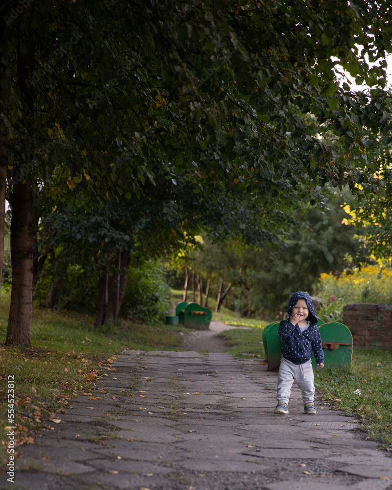 Fototapeta premium A little boy runs to the camera in the park. a beautiful child walks along the path in the park.