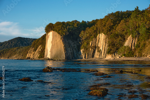 A rock overgrown with mixed forest on the seashore at sunset against a blue sky