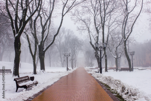 winter park with trees  street lamps  benches along the path  and snow during the day with fog in Ukraine in Europe