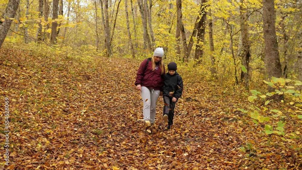 Happy young mother and son are walking in the autumn forest. Autumn outdoor activity for family with kids. Family day. Autumn day. Happy family leisure. Happy young mother and son are walking in the autumn forest. Autumn outdoor activity for family with kids. Family day. Autumn day. Happy family leisure.