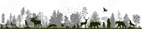 Forest landscape with silhouettes of animals. Vector illustration