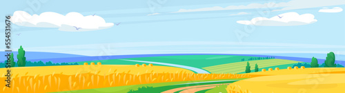 Landscape view of a wheat field. The crop of a golden color. The countryside in summer before harvest. Rural scenery with organic grain cultivation. Cartoon farmland vector background illustration.