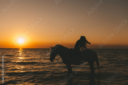 portrait of a long-haired girl on a horse in the sea at sunset