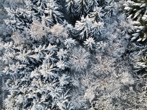 Baumlandschaft im Winter von oben