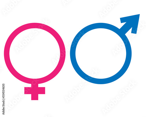 Pink and blue symbol gender icon, male and female symbol for sex difference on isolated white background photo