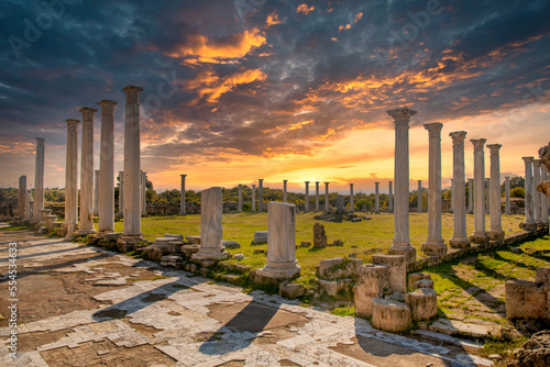 Εκτύπωση καμβά Columns and ruins in the ancient city of Salamis in Cyprus