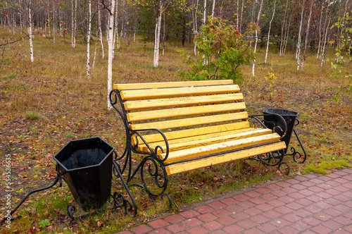City yellow wooden bench on the street in the autumn park