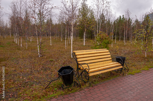 City yellow wooden bench on the street in the autumn park