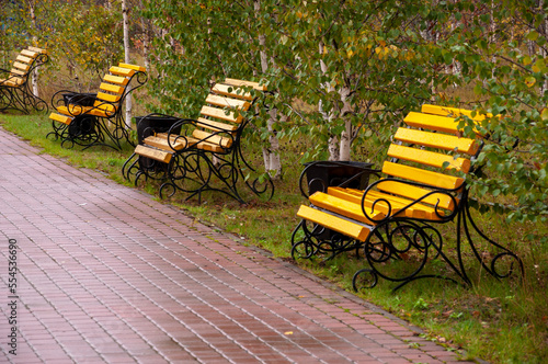 City yellow wooden bench on the street in the autumn park