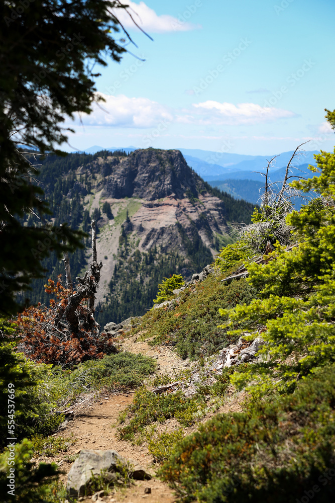 Hiking path in Oregon's Cascade Mountain Range with evergreen trees lining the landscape 