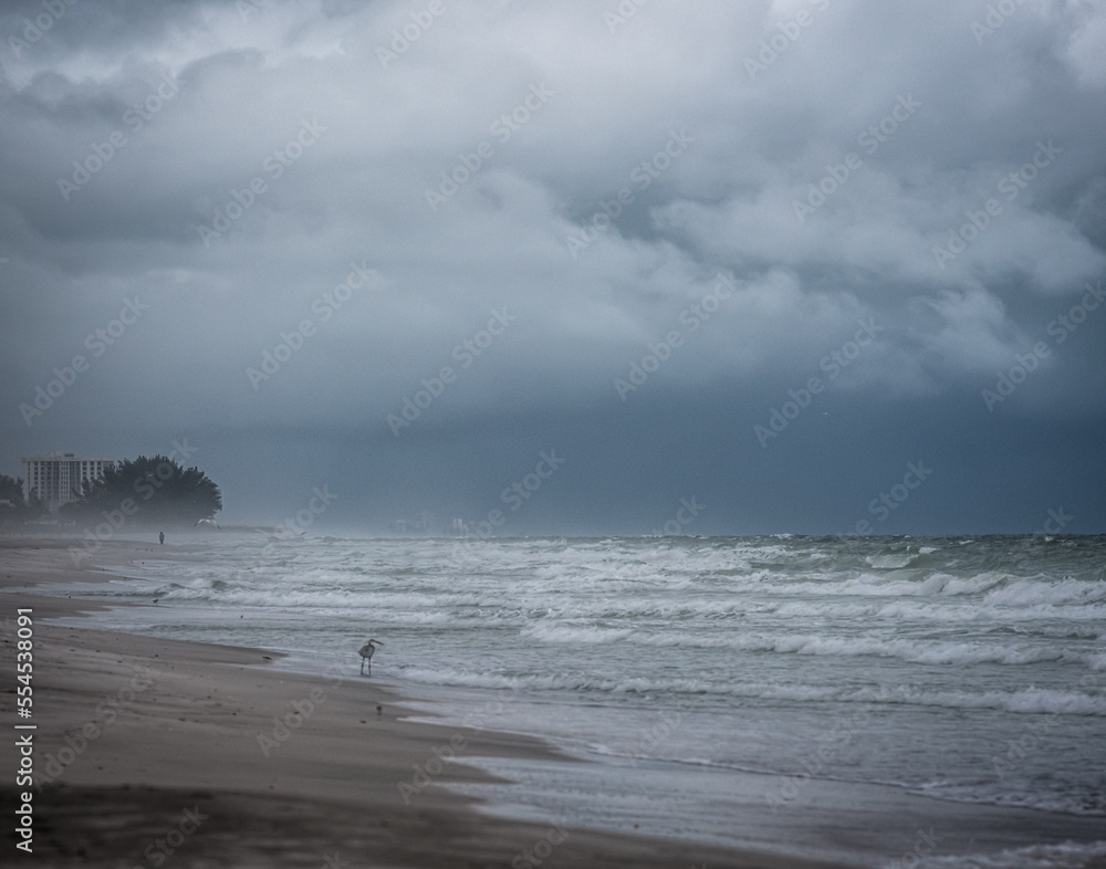Stormy day at the beach as Hurricane Hermine approaches the Florida Gulf Coast, Longboat Key, Florida