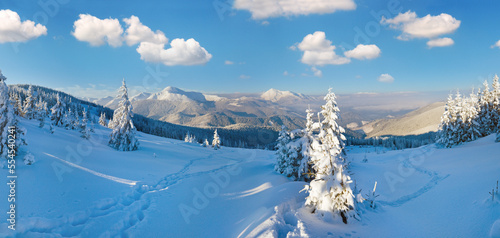 Morning winter calm mountain landscape (Goverla Mount, Carpathian Mountains, Ukraine).