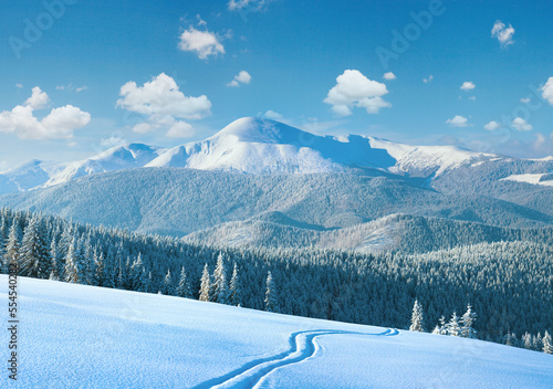 Fotografie, Obraz Morning winter calm mountain landscape with ski track and coniferous forest on slope (Goverla view - the highest mount in Ukrainian Carpathian)