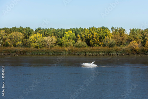 A white motorboat on a river photo