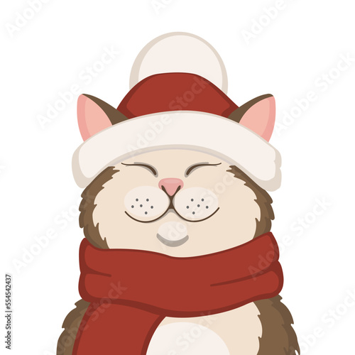 cute cat in Santa Claus hat